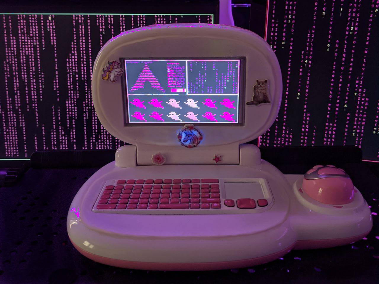 The PinkPad: a very special Raspberry Pi case